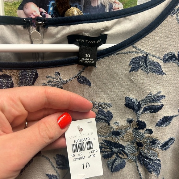 NWT Ann Taylor Cream Sheath Dress Midi Scoop Neck Size 10 - Picture 6 of 6